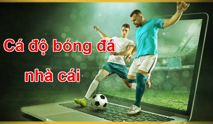 Nhà cái cá độ bóng đá online và mẹo cá cược bóng đá