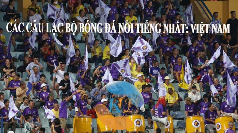 Bóng đá Việt Nam – Những câu lạc bộ nổi nhất V-League 2