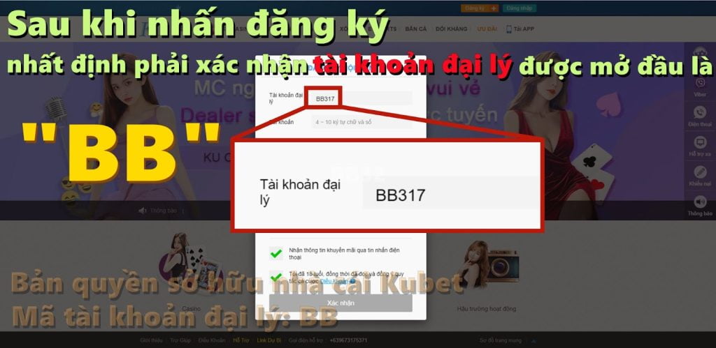 Xem trực tiếp quần vợt tại nhà cái Kubet 