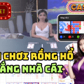 Cách chơi rồng hổ luôn thắng